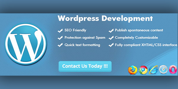 wordpress website development agency in singapore